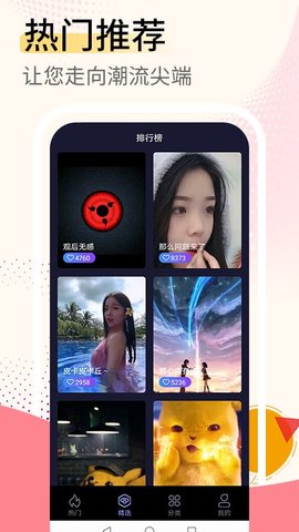 视频壁纸大全历史版