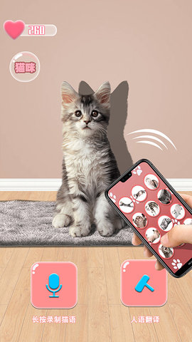 猫猫语言转换器2022最新版