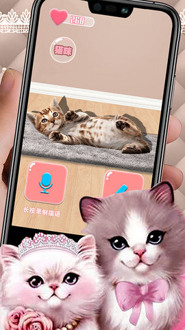 猫猫语言转换器2022最新版