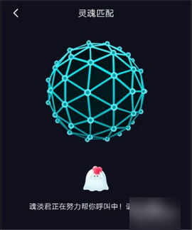 兔子先生app正式版