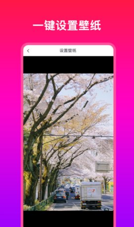 多多壁纸大全安卓版