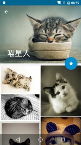 叮咚壁纸最新免费版