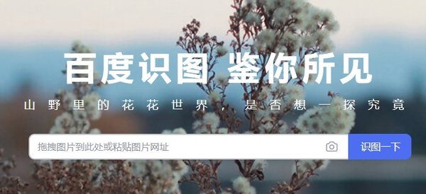 今天拍照识图了吗APP红包版