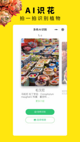 多肉圈手机版