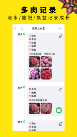 多肉圈手机版