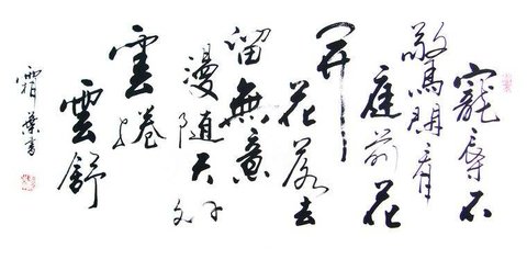 桔舍书画软件破解版