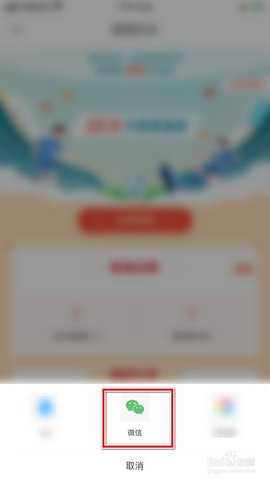雷速体育app