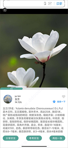 识花君APP官方版