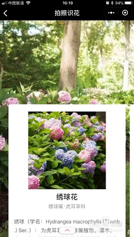 新版拍照识花君APP