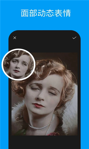 PixeLeap照片扫描器APP无限制版