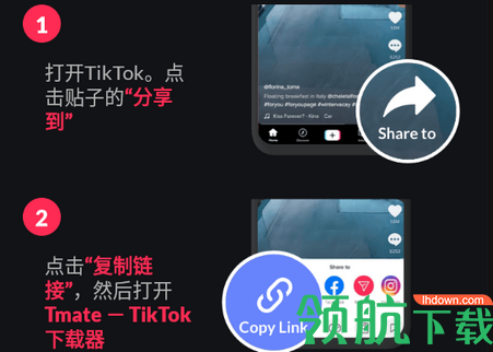 Tmate TikTok下载器免费版