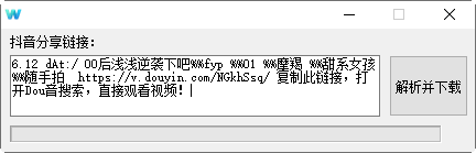 抖音视频无水印下载工具