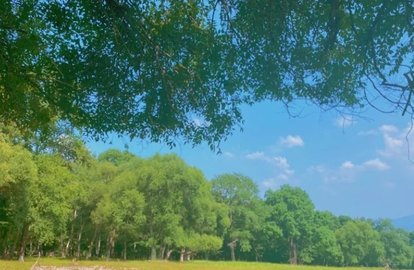 微信农场背景图app高清版
