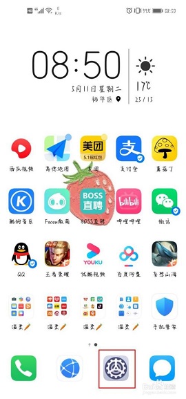 泡菜音译网APP官方版