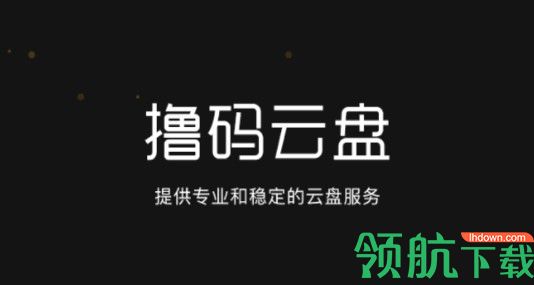撸码云盘正式版