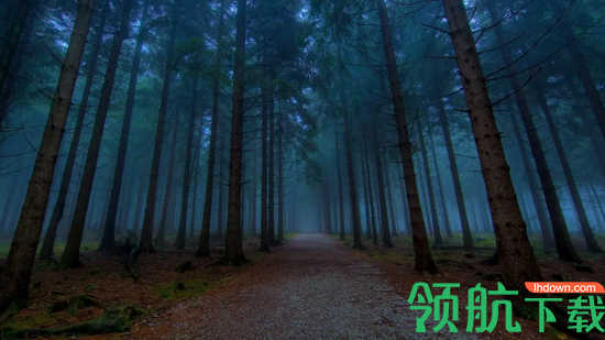 余香壁纸2022最新版