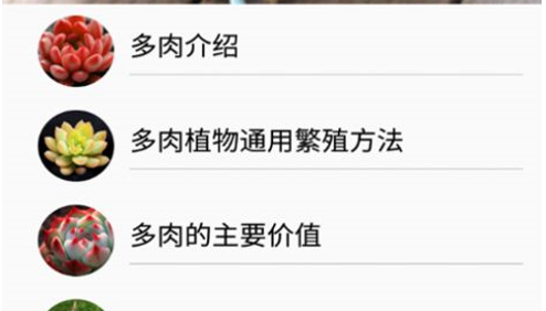 花草多肉日记2022最新版