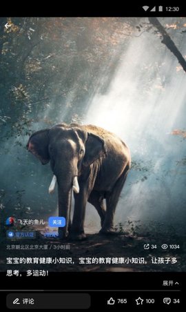 飞鱼仔教育软件App