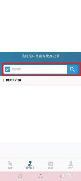 查鸽网足环号查询APP