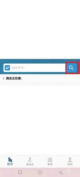 查鸽网足环号查询APP