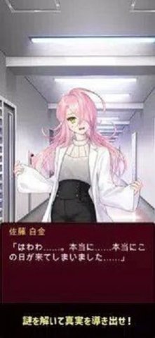 谜解裁判单机版