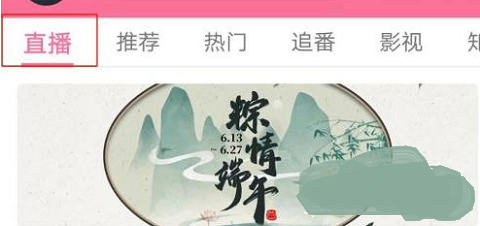 哔哩哔哩车机版