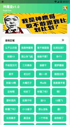 神鹰盒语音包2023最新版