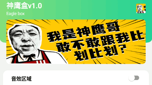 神鹰盒语音包2023最新版