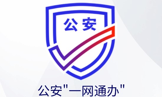 一网通办服务平台客户端