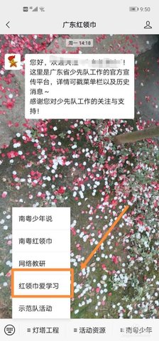 红领巾爱学习APP2022最新版
