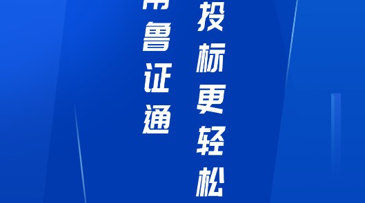鲁证通数字证书平台