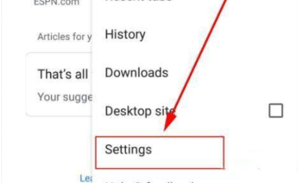 chrome金丝雀版(ChromeCanary)