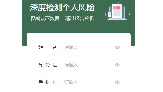 极客查征信报告查询工具