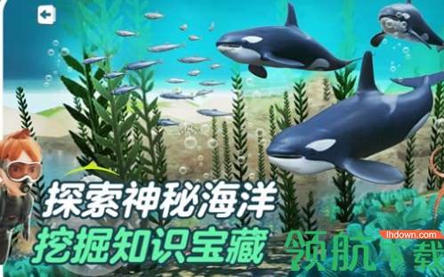 少年创境官方最新版