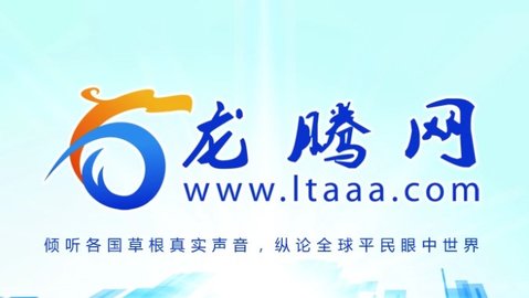 龙腾网中外民间信息交流平台APP