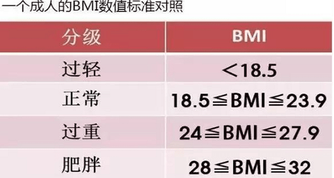 BMI计算器免费版