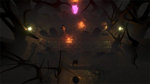 重大秘密无限道具版