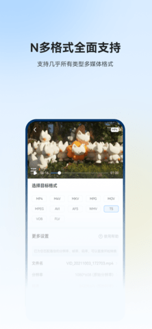格式工厂高级无限制版