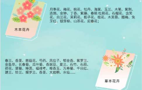 认识花(拍照识别)app
