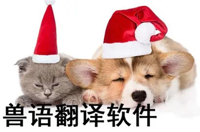 动物语言翻译器免费版