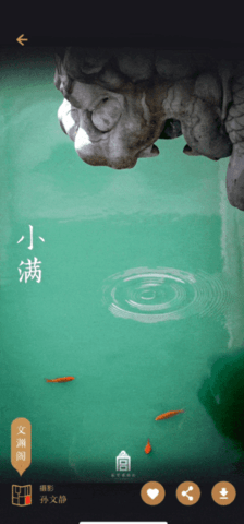 紫禁城365苹果版