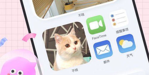 不吱真人交友软件App