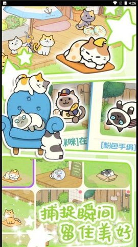地铁遇见猫无限金币版