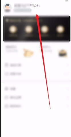 掌上高铁(车票查询)App