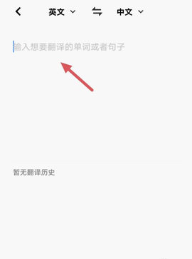 中英文翻译器破解版