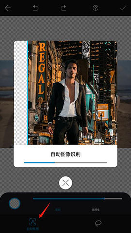 大神P图CN解锁VIP版