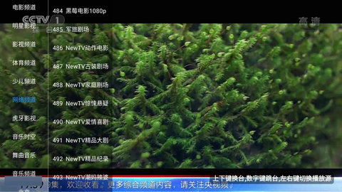 喵影视TV内置源双播版