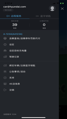 bluelink免费版