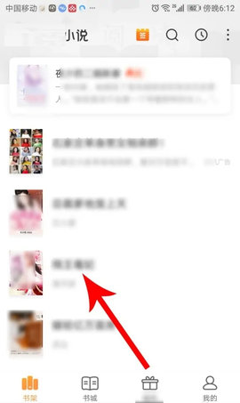 黑莓免费小说去广告版