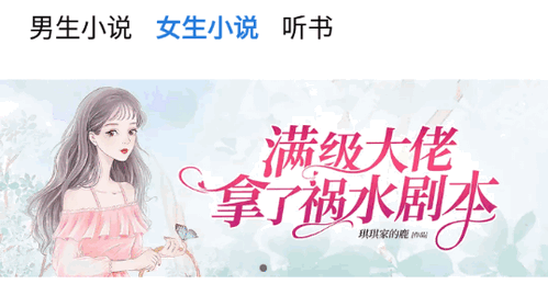 书痴小说阅读器去广告版